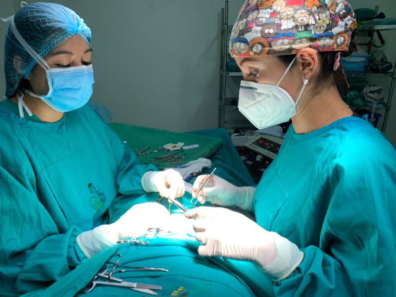 Dra Andrea Salazar Cirujana General Ambato Riobamba